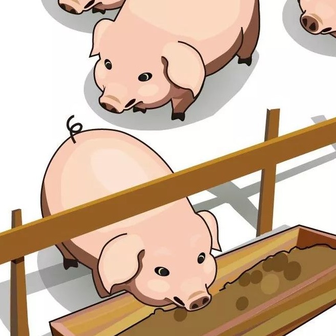 母猪产后3~7天体温异常（35~41℃）的成因及综合治疗措施