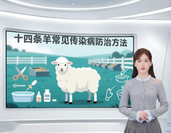 【正大微课堂】第6讲 十四条羊常见传染病防治方法