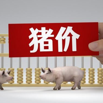 1月4日猪价｜节后大场增量，警惕猪价下调！