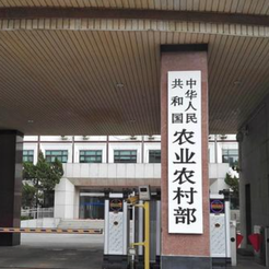 农业农村部：12月31日全国农产品批发市场猪肉平均价格为17.59元/公斤 比昨天下降0.8%