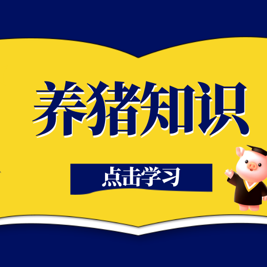 仔猪死亡率高？别忽视母猪泌乳不足的这些关键诱因