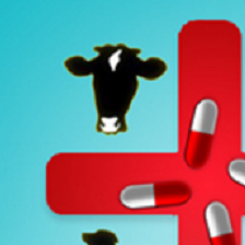 我国对进口牛肉实施保障措施，释放哪些信号？