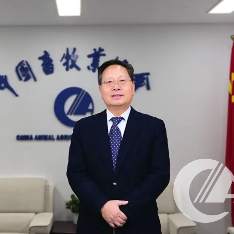 【新年献词】携手踏过千重浪，团结扬帆启新程