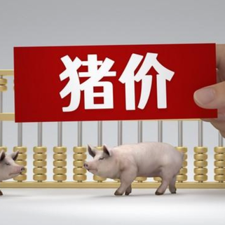 1月5日猪价｜震荡调整为主，东北局地压价失败！