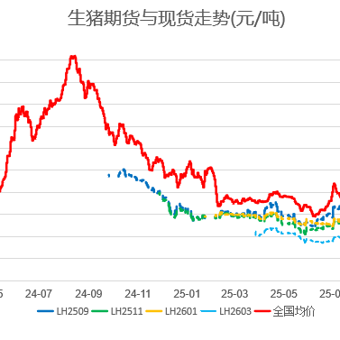 猪价行情及生猪期货行情动态（2026.1.5）