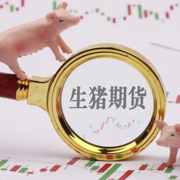 生猪期货2603 1月5日生猪:有所支撑