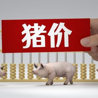 1月6日猪价｜北方多地上涨，南方下调！