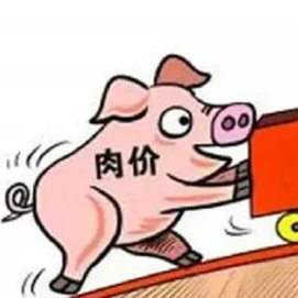 2026年1月第1周全国生猪平均价格12.61元/公斤 比前一周上涨3.4% 同比下跌23.9%