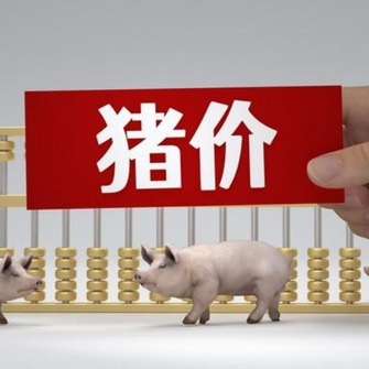 1月7日猪价｜北方连涨，想出猪的抓住高点出栏！