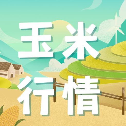 同比上涨10%左！东北玉米价格上涨的原因何在？