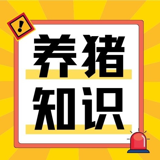 非洲猪瘟防控难题咋破？李孝文团队&ldquo;组合拳&rdquo;给出答案！