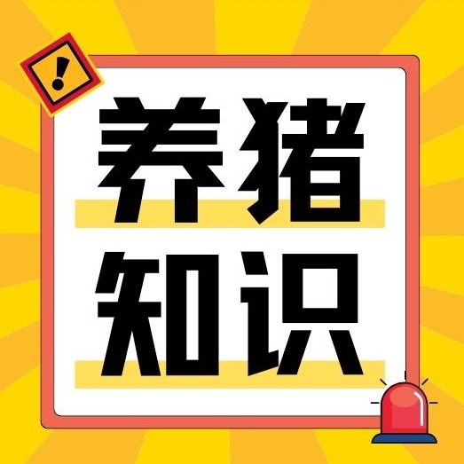 非洲猪瘟防控难题咋破？李孝文团队&ldquo;组合拳&rdquo;给出答案！