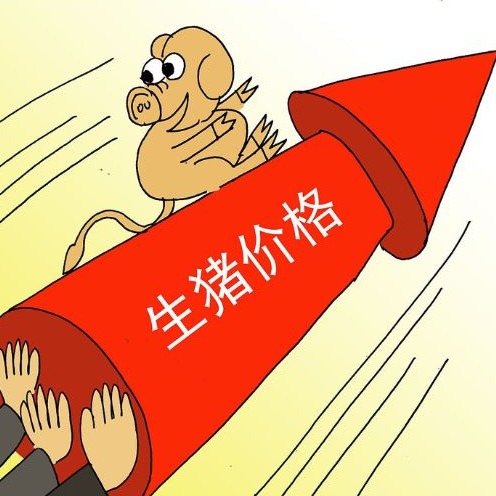 猪价窄幅上涨，仍面临偏弱的压力！