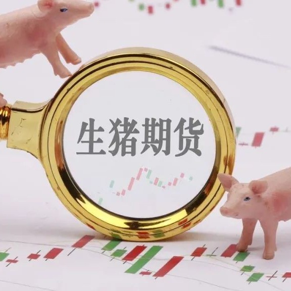 生猪期货：生猪主连[lhm]1月8日