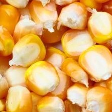 碳水化合物的组成、分类及营养生理功能