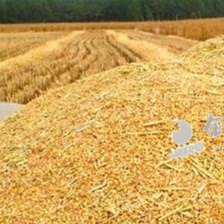 豆粕市场&ldquo;涨&rdquo;声响起来！成交均价达8个月高点