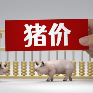 1月9日猪价｜涨跌调整，北方部分地区回落！