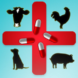 金宇生物：非瘟疫苗顺利完成首个临床试验场一针免疫环节，正式进入效力评价阶段