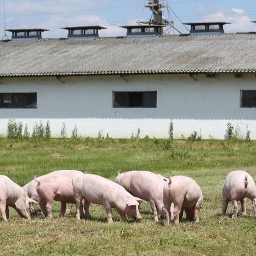 放大招！27条&ldquo;真金白银&rdquo;措施，直接让你的家乡变变变