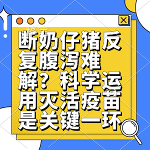 断奶仔猪反复腹泻难解？科学运用灭活疫苗是关键一环