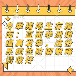 冬季猪场生存指南：直面非洲猪瘟高发季，这份系统性防御策略请收好