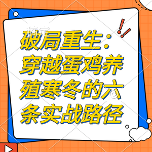 破局重生：穿越蛋鸡养殖寒冬的六条实战路径