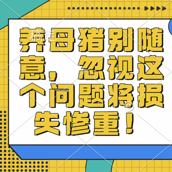 养母猪别随意，忽视这个问题将损失惨重！