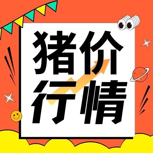 腊月旺季遇消费空窗，猪价还能涨多久？