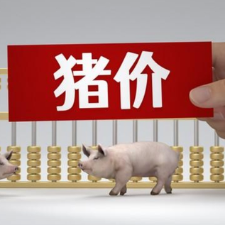 1月12日猪价｜稳中上涨，大场有增量现象！