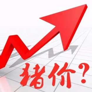 猪周期磨底何时休？2025年行业深度亏损，期货成猪企&ldquo;续命&rdquo;关键