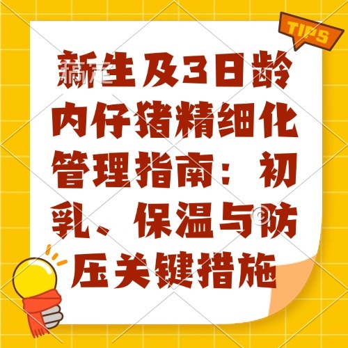 新生及3日龄内仔猪精细化管理指南：初乳、保温与防压关键措施