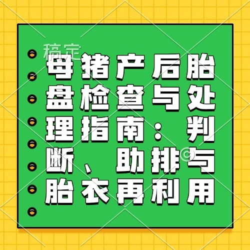 母猪产后胎盘检查与处理指南：判断、助排与胎衣再利用