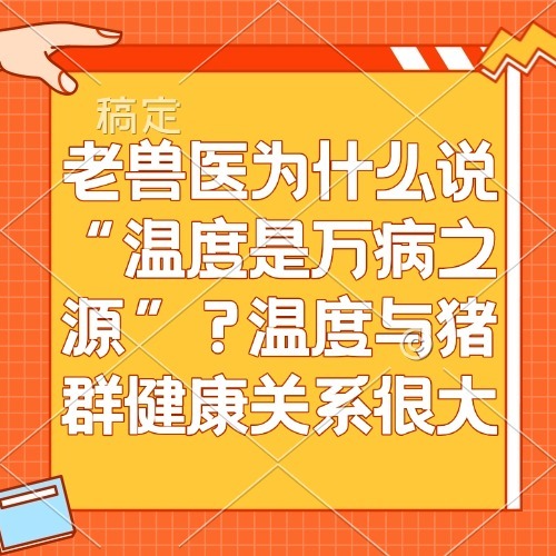 老兽医为什么说&ldquo;温度是万病之源&rdquo;？温度与猪群健康关系很大