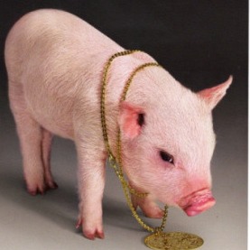 未来格局&ldquo;巨头竞争+专业化协作&rdquo;！养猪业供需失衡，全产业链布局成关键