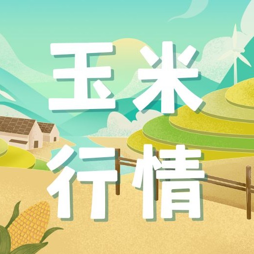 玉米震荡僵持，年前大涨大跌均无望