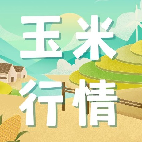 2026年1月15日全国各省市玉米价格行情，基层挺价情绪浓厚，玉米价格维持偏强的走势！