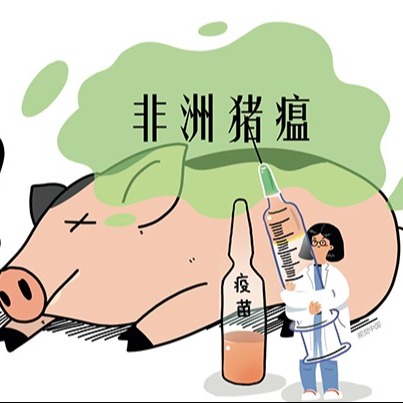 高热流感缠上猪场，咋治疗？附解决方案