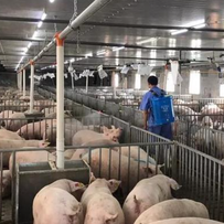 隔离、消毒、洗澡、稀释，关键在于科学认识与精准执行