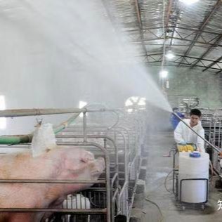 猪场呼吸道疾病综合症（ PRDC）中细菌性病原的汇总分析