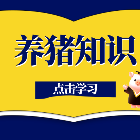 猪体温40℃属于发烧吗？正常猪的体温是多少？
