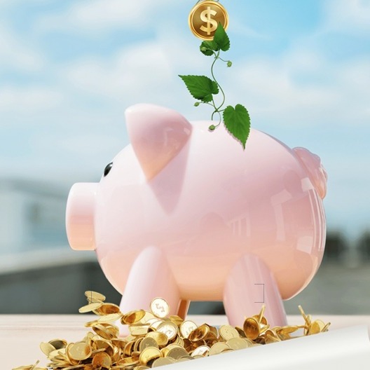 养殖端挺价意愿增强〡鸡蛋价格上涨 豆粕