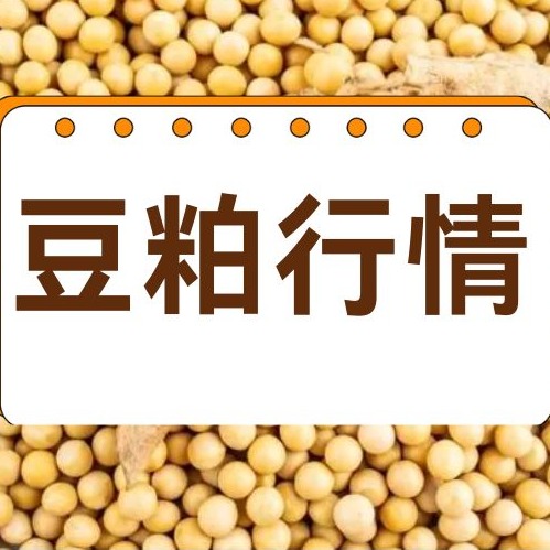 2026年1月16日全国各省市豆粕价格行情，终端养殖行业备货行情开启，豆粕市场成交好转！