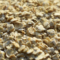 2026年第3周豆粕、菜粕、棉粕行情分析【龙昌动保特约】