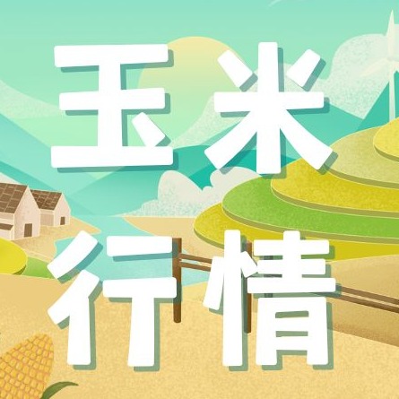 2026年1月19日全国各省市玉米价格行情，供需拉锯下，玉米大概率维持震荡偏强走势！