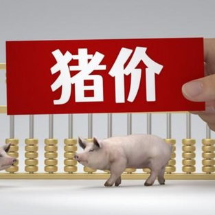1月20日猪价｜涨跌调整，大场出栏价格回落！