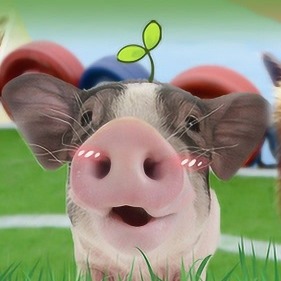 最新！生猪养殖降本增效技术指导意见