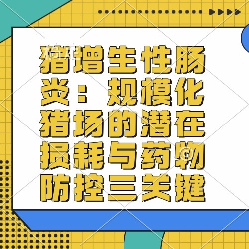 猪增生性肠炎：规模化猪场的潜在损耗与药物防控三关键