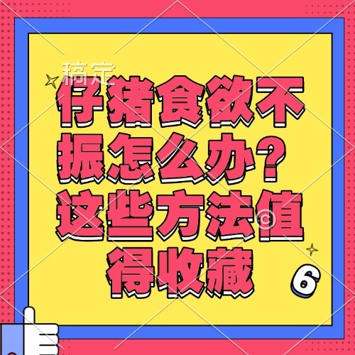 仔猪食欲不振怎么办？这些方法值得收藏