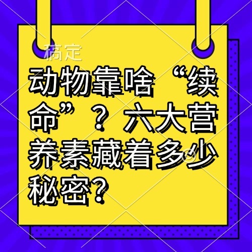 动物靠啥&ldquo;续命&rdquo;？六大营养素藏着多少秘密？