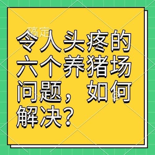 令人头疼的六个养猪场问题，如何解决？